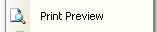 4. Print Preview