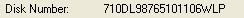 21. Disk Number