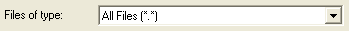 6. File Types field