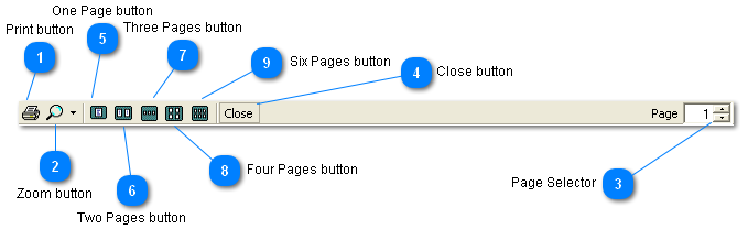 Print Preview Toolbar