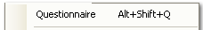 1. Questionnaire