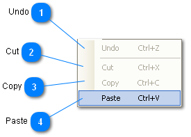 Edit Menu